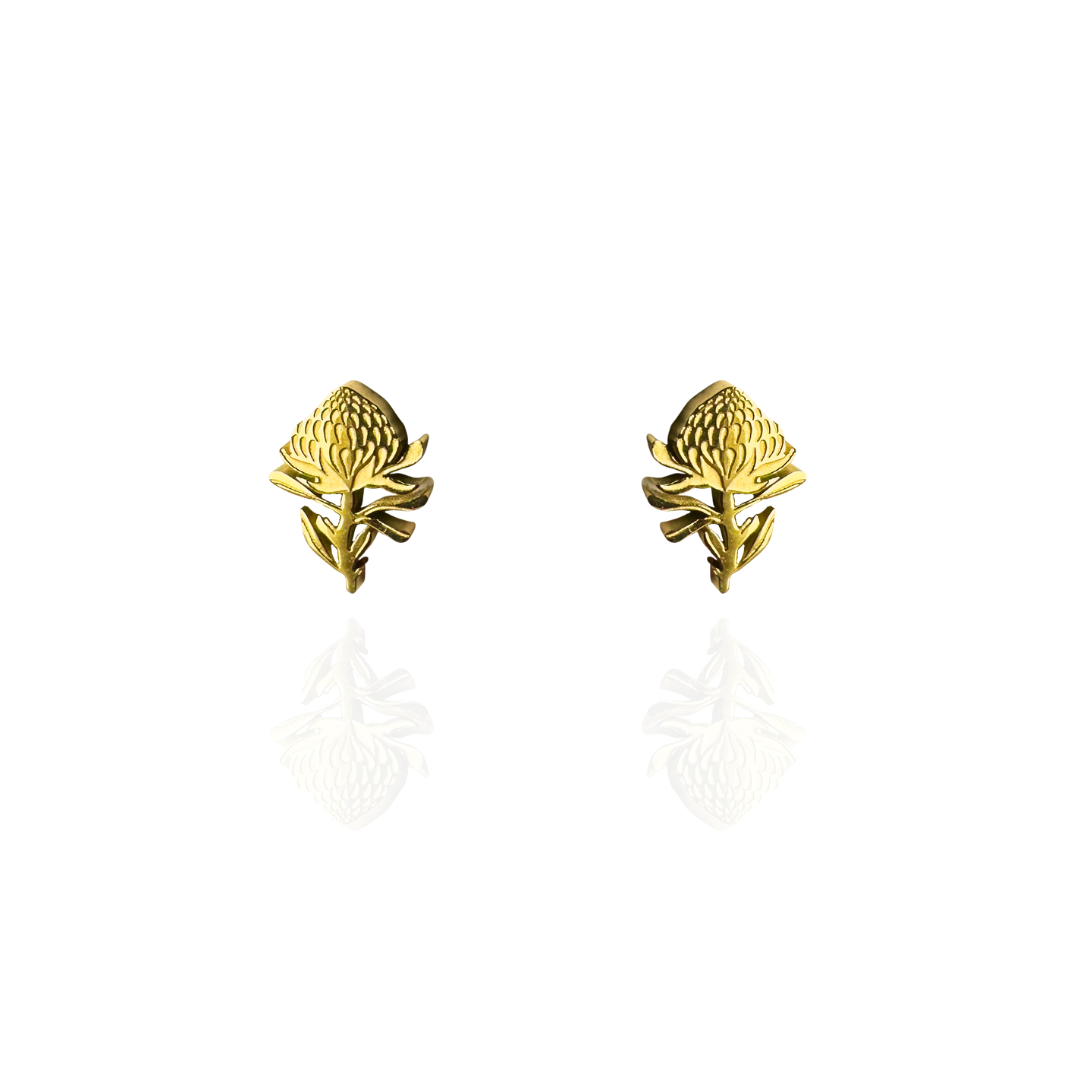 Waratah Earring Studs Gold