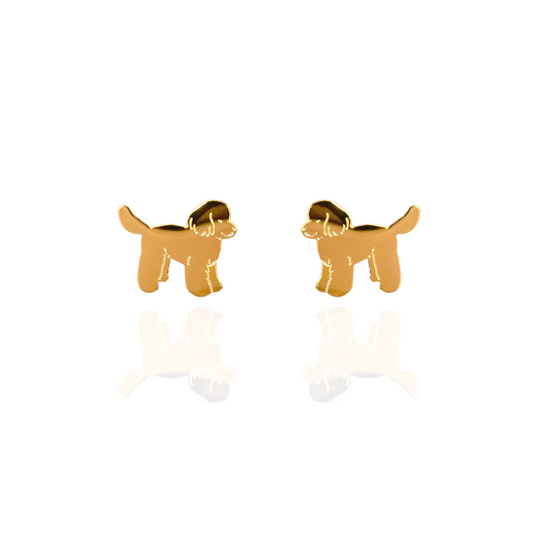 Cavoodle Earring Studs Gold