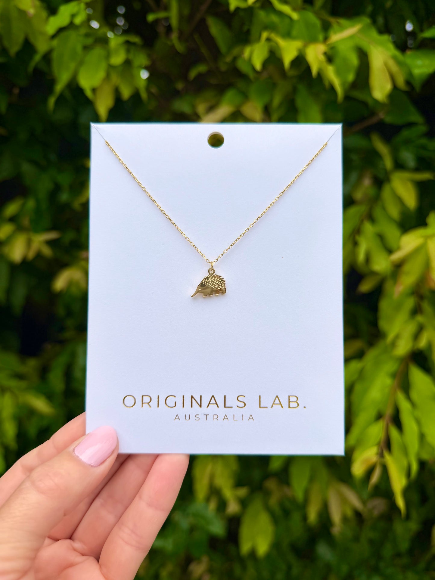 Echidna Necklace Gold
