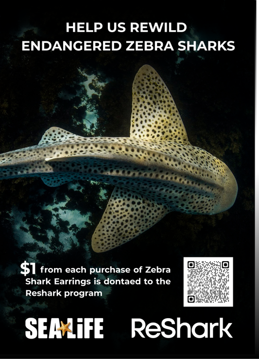 Zebra Shark Earring Studs Gold