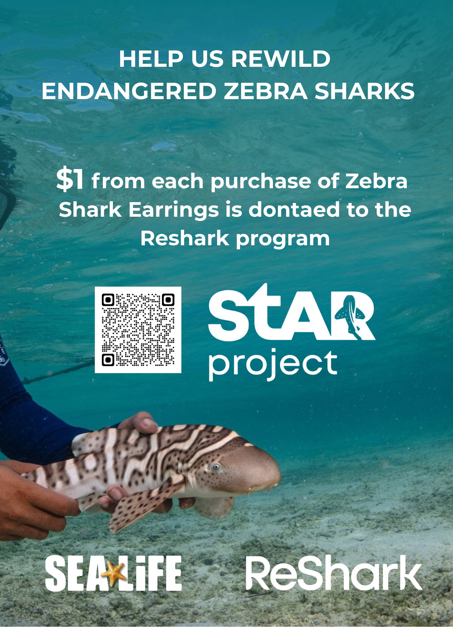 Zebra Shark Earring Studs Silver