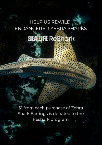 Zebra Shark Earrings Gold