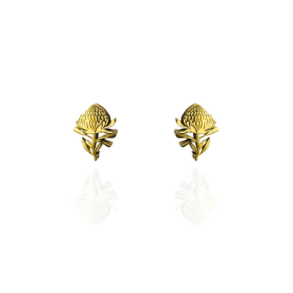 Waratah Earring Studs Gold