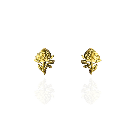 Waratah Earring Studs Gold