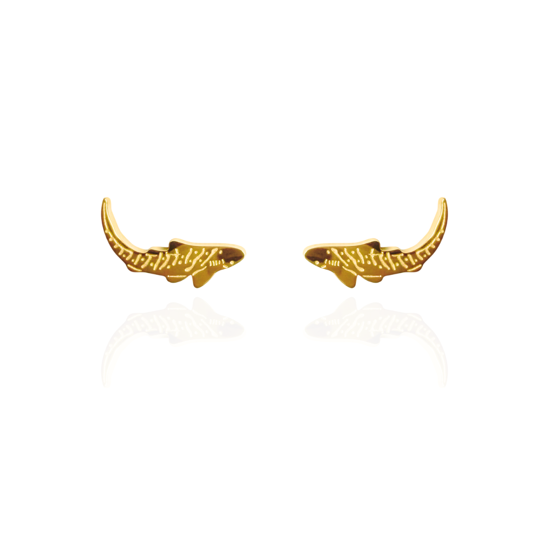 Zebra Shark Earring Studs Gold