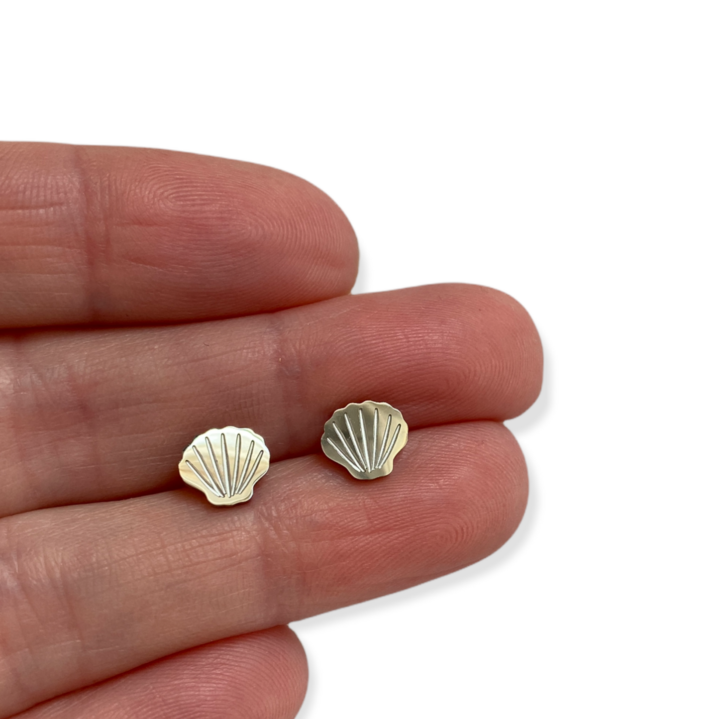 Shell Earring Studs Silver
