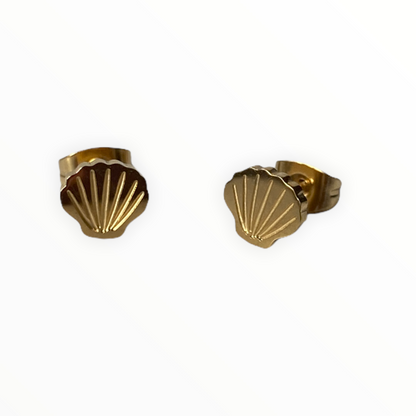 Shell Earring Studs Gold